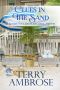 [A Seaside Cove Bed & Breakfast Mystery 02] • Clues in the Sand (A Seaside Cove Bed & Breakfast Mystery Book 2)